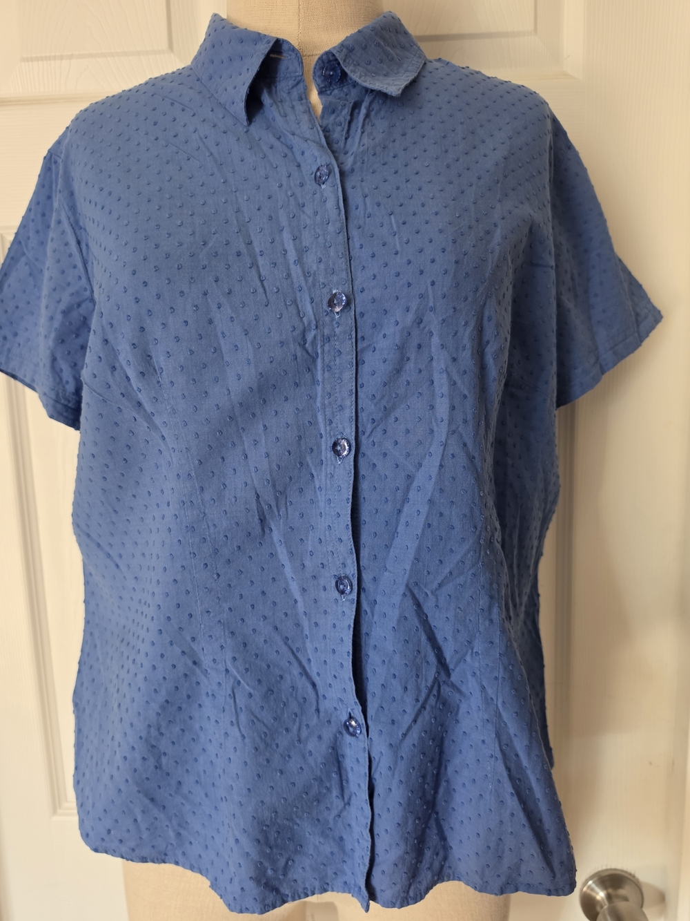 Classic Short-Sleeve Button-Up Shirt in Blue Size 14P